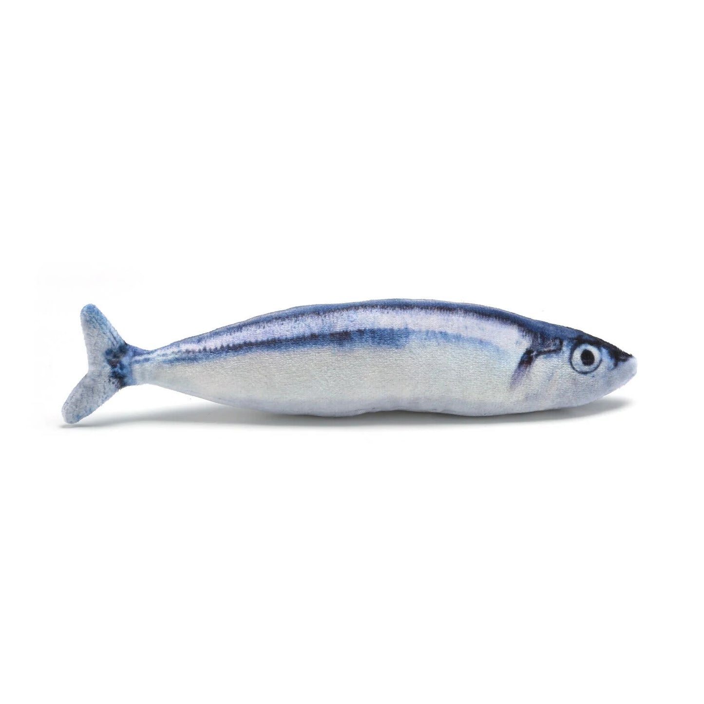 5 Pack Realistic Fish Cat Toys Simulation Interactive Catnip Plush Toys for Cats Pets Exercise